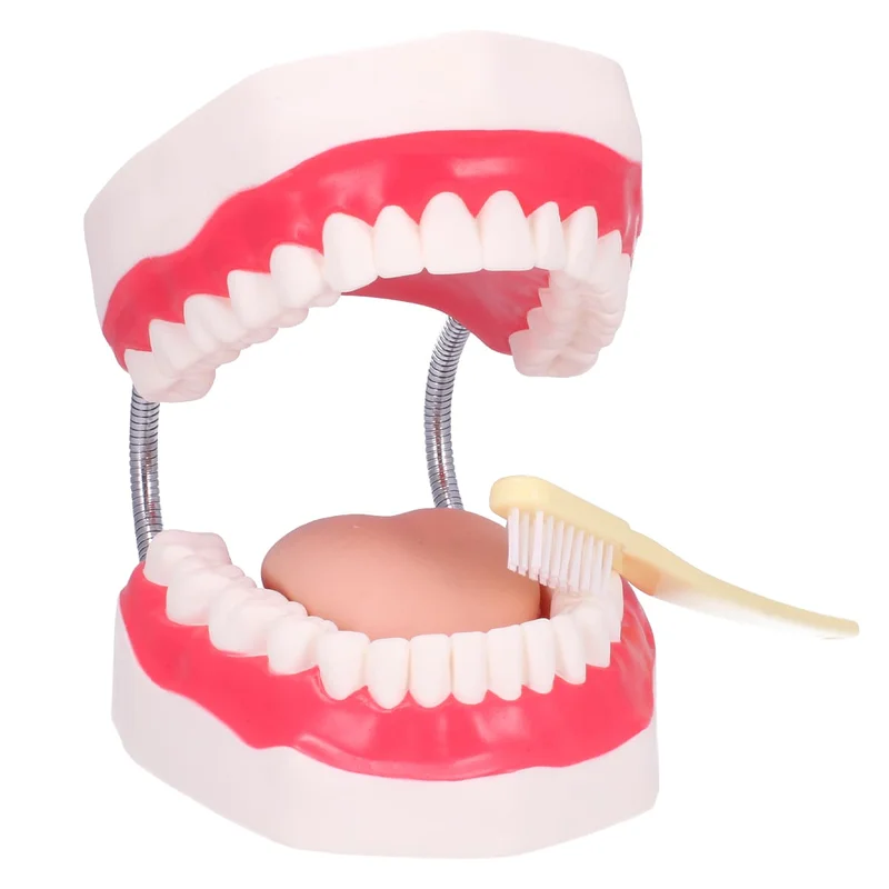 doccheckshop20260710182216656096