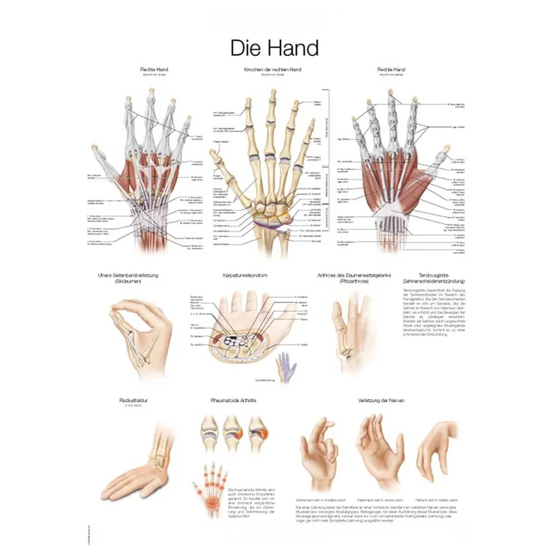 doccheckshop20260710183006657925
