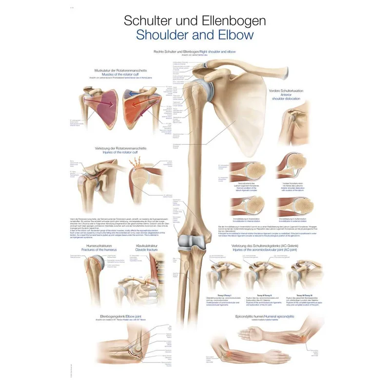 doccheckshop20260710183012657946