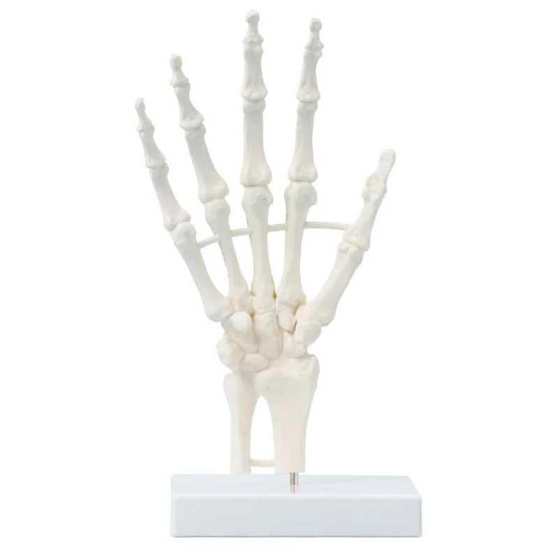 doccheckshop20260710183327658741