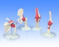 henryschein-med20260710175012648920