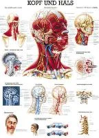henryschein-med20260710195559676413