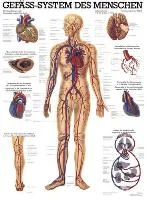 henryschein-med20260710195605676433
