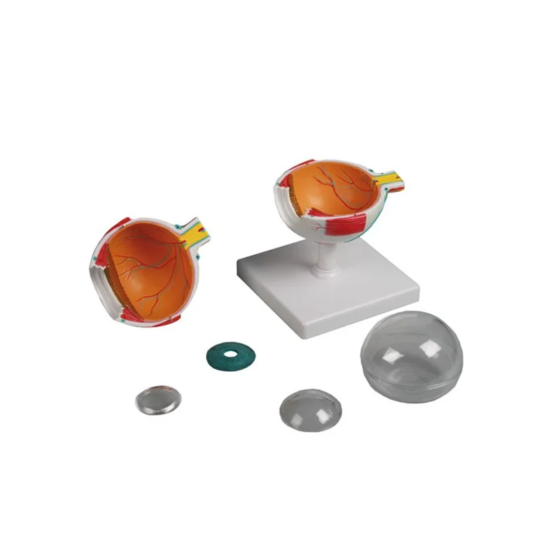 hygiene10020260711010231729910
